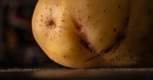 Macro shot of a potato with distinct markings that resemble a smile, showcasing its natural imperfections.
